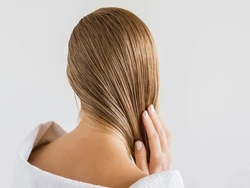 7 Beste Shampoos Fr Fettiges Haar Ausfhrlicher Test