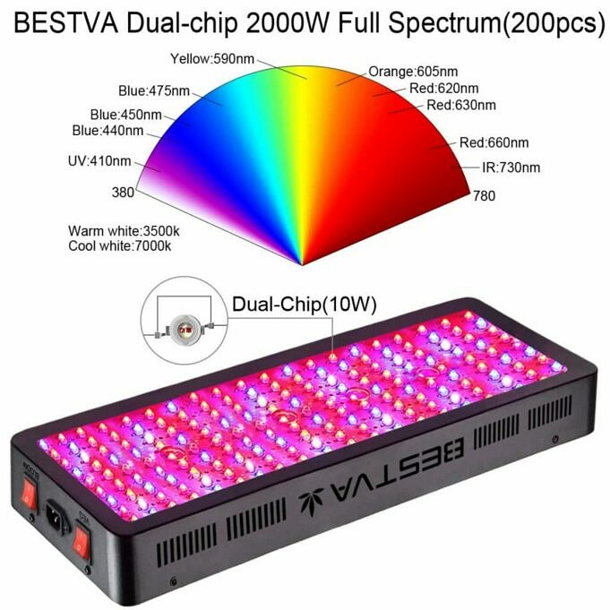 BESTVA 2000W Double Chips Full Spectrum LED Grow Light Review