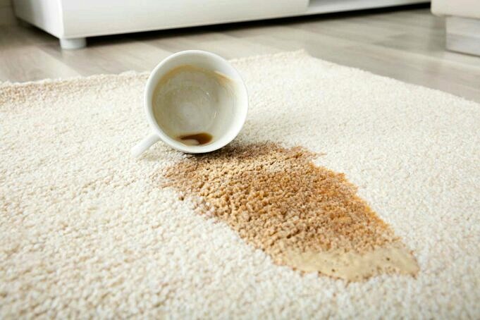 So Entfernen Sie Kaffeeflecken Vom Teppich Wie Ein Profi!
