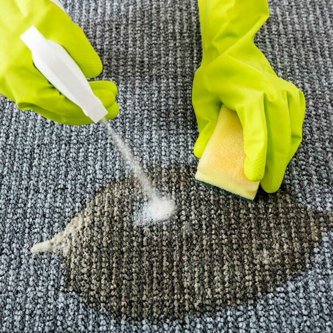 So Reinigen Sie Einen Teppich Am Besten
